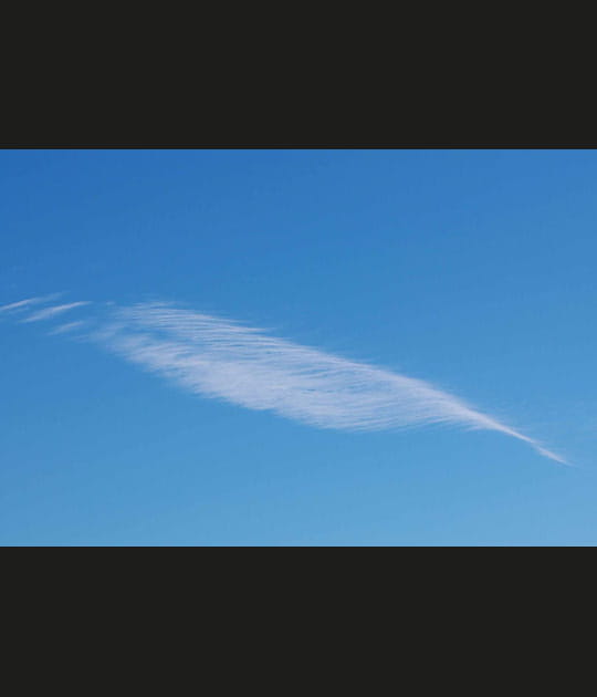 Une plume&nbsp;?