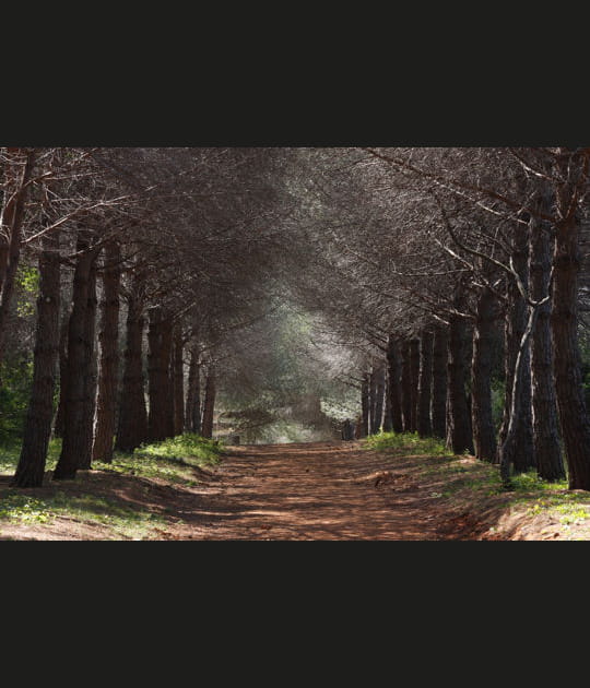 Promenade entre terre et mer