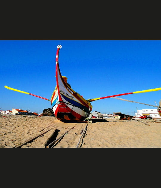 Couleurs portugaises