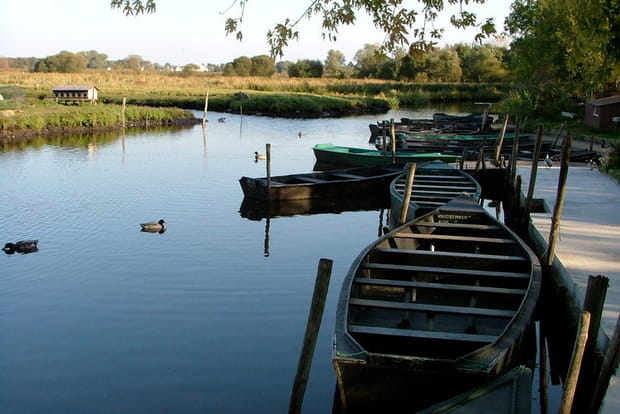 Marais de la Grande Brière