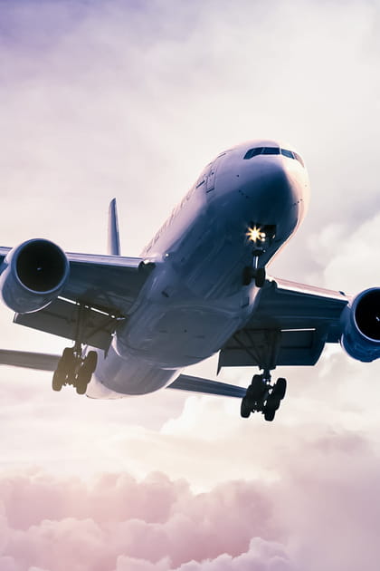 Francis Lalanne n&eacute; dans un avion&nbsp;?