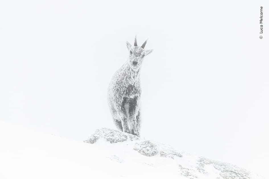 Exposition alpine par Luca Melcarne, France
