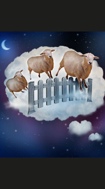 &quot;Compter les moutons&quot; pour s'endormir, pas si b&ecirc;te