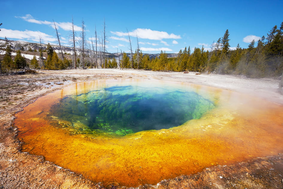 Yellowstone