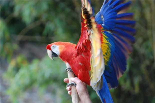Arc-en-ciel de couleurs