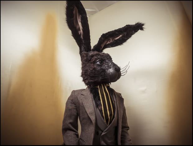 Lapin gris dans le Calendrier Pirelli 2018