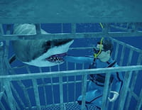 Danger de mort : Attaque de requin