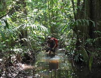 Amazonie, dans les pas de Maufrais