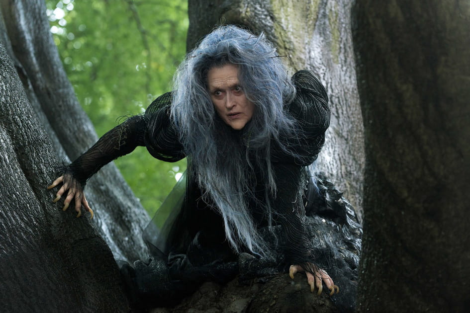 Into the woods (2014)