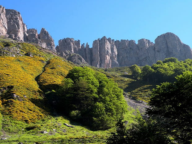 Les Orgues de Camplong de la Vallée d'Aspe
