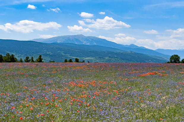 YogaRando et sources d'eau chaude en Cerdagne