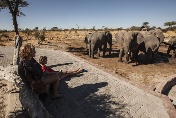 Le parc national de Mana Pools au Zimbabwe