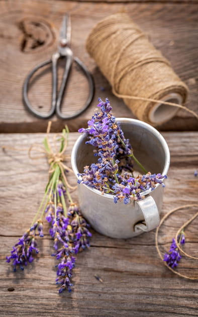Faire des bouquets de lavande