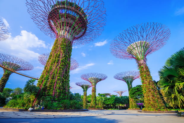 Se mettre au vert aux Gardens by the Bay