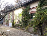 Une maison, un artiste : Rosa Bonheur, le château de la liberté