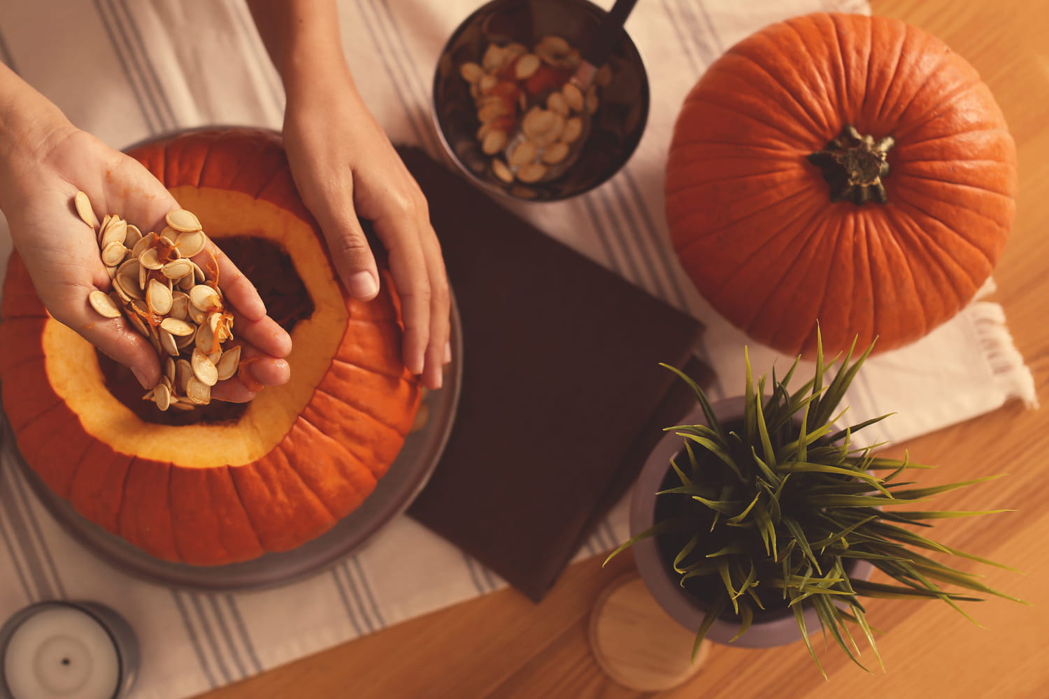 Quels sont les bienfaits de la citrouille ?