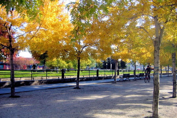 Eté indien dans le vieux Montréal