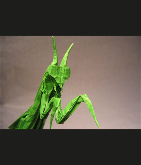 Microcosmos