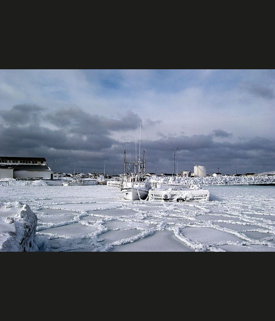 Dans les glaces