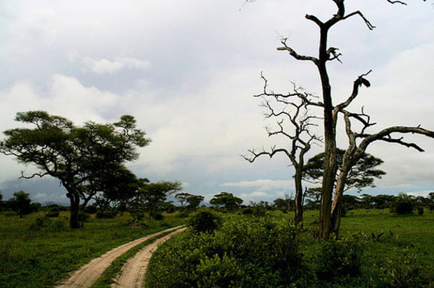 Droit devant, ou presque