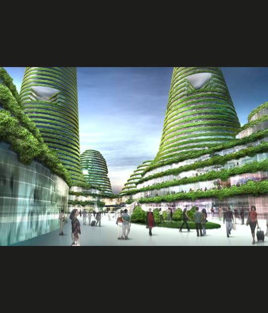 Une foret en ville