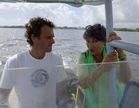 Curieuse de nature : Sur les traces du pélican et du lamentin en Guadeloupe