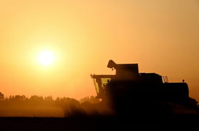 Agriculture: le Parlement adopte la loi Duplomb et la r&eacute;introduction sous conditions d'un pesticide