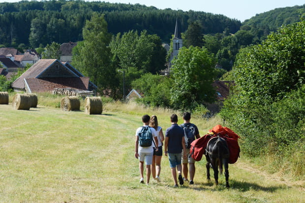 En Bourgogne avec Donkey'âne