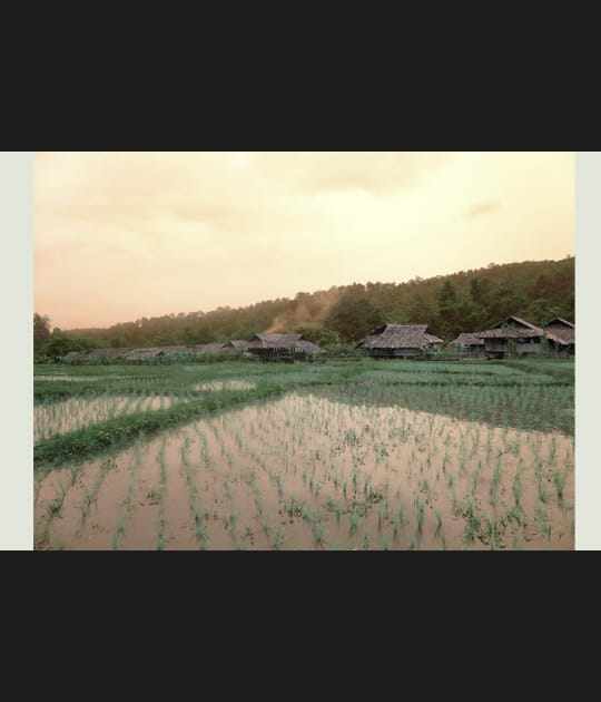 Riz