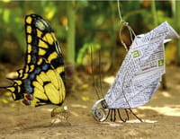 Minuscule : L'artiste
