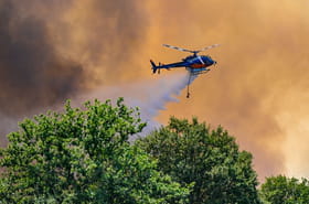 Incendie dans l'Aude&nbsp;: plus de 600&nbsp;hectares br&ucirc;l&eacute;s et 1000&nbsp;vacanciers impact&eacute;s vers Sigean, ce que l'on sait