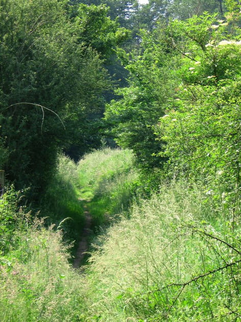 Chemin-coeur
