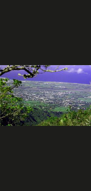 1er : Saint-Louis de la R&eacute;union +18,76&nbsp;points