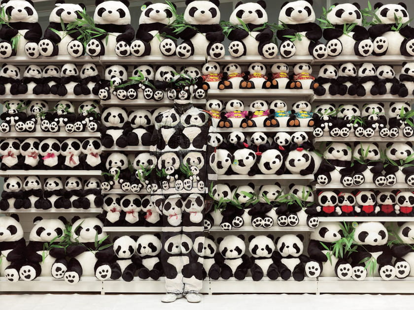 Tout un monde de pandas