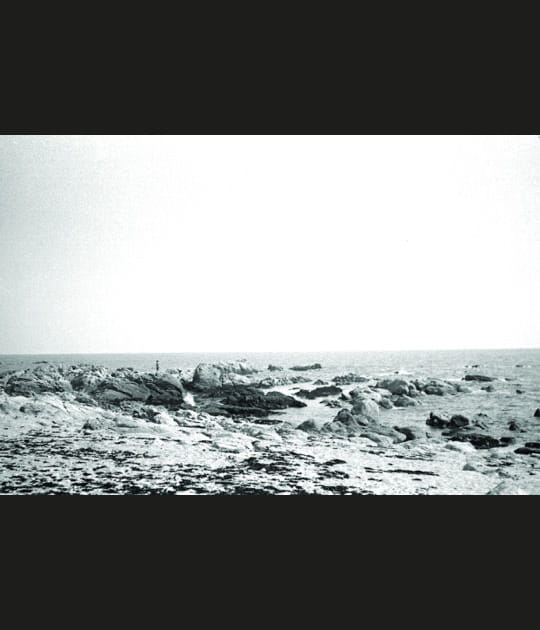 La c&ocirc;te sauvage