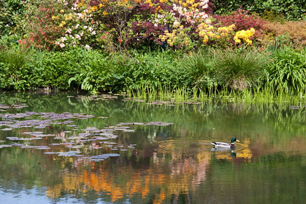 Jeux de reflets