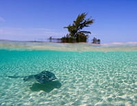La splendeur des Bahamas : Bancs de sable