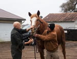 L'incroyable Dr Pol