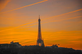 Municipales 2026&nbsp;&agrave; Paris&nbsp;: les r&eacute;sultats des derniers sondages, Dati toujours favorite&nbsp;?