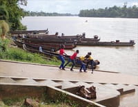 Les pépites du fleuve
