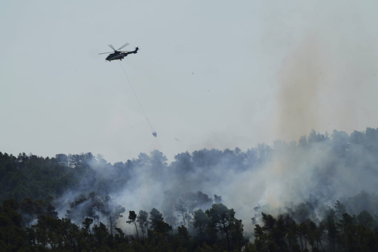 Feux de forêts : plusieurs départements en 