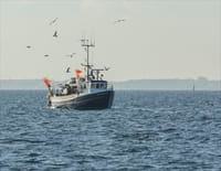 Homards : pêche à haut risque : L'heure de vérité