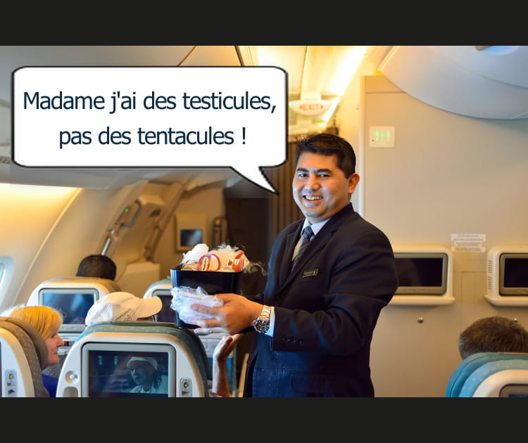 La r&eacute;partie du steward