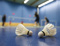 Badminton - Internationaux de France