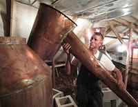 Alcool de contrebande : Rébellion du whisky