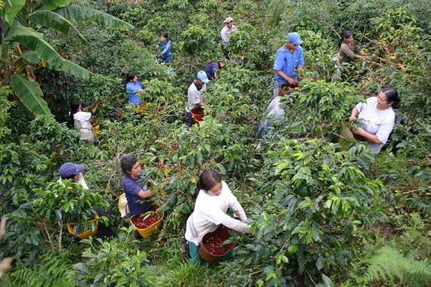 La gestion des déchets