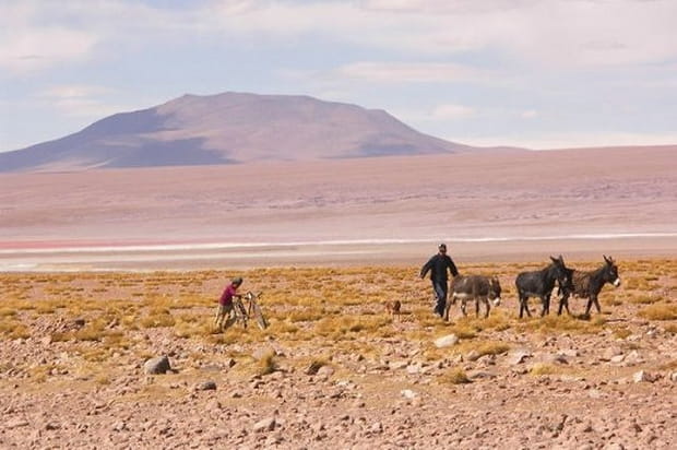 Une population en majorité indienne