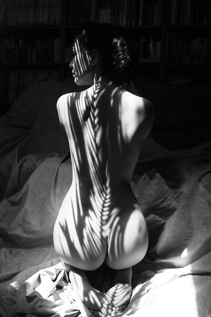 Courbes divines