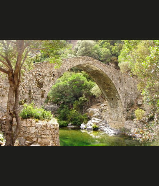 Corse