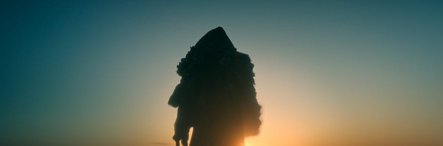 &quot;C'est un chef d'oeuvre&quot;&nbsp;: en moins de 24&nbsp;heures, ce film devient n&deg;1&nbsp;du top de Netflix et s&eacute;duit les abonn&eacute;s